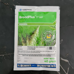 Herbisida Untuk Rumput Grinting : Herbisida Pyzero 100ec ...