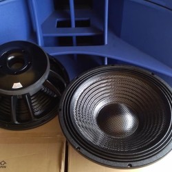 speaker dr audio 12 inch