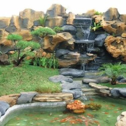 Kolam Ikan Minimalis Lebih Dari 100 Desain Kolam Ikan Harga Murah