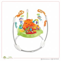 fisher price jumperoo hoppgunga