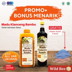 Katalog Lebah Klanceng Koloni Trigona Leavicep Dalam Bambu Utuh Katalog.or.id Katalog Lebah Klanceng Koloni Trigona Leavicep Dalam Bambu Utuh Katalog.or.id