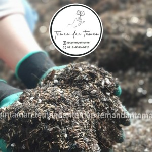 Info Soil Ultimate 1 Kg Media Tanam Aquascape Multi Type Substrat Katalog.or.id Info Soil Ultimate 1 Kg Media Tanam Aquascape Multi Type Substrat Katalog.or.id