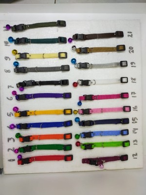 Harga Kalung Kucing Lonceng Paket 12 Pcs Katalog.or.id Harga Kalung Kucing Lonceng Paket 12 Pcs Katalog.or.id