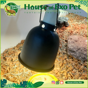 Harga Lampu Uvb 100 13 Watt Pengganti Sinar Matahari Exoterra Katalog.or.id Harga Lampu Uvb 100 13 Watt Pengganti Sinar Matahari Exoterra Katalog.or.id