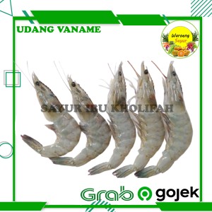 Harga udang vaname sedang super segar 250gr ikan hasil laut segar | HARGALOKA.COM Harga udang vaname sedang super segar 250gr ikan hasil laut segar | HARGALOKA.COM