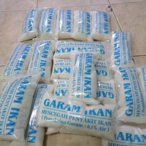 Harga Garam Ikan 650gr Katalog.or.id Harga Garam Ikan 650gr Katalog.or.id
