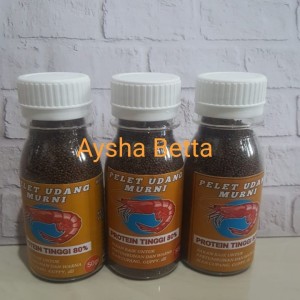 Info Ikan Discus Katalog.or.id Info Ikan Discus Katalog.or.id