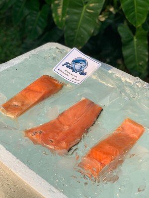 Harga Ikan Salmon Katalog.or.id Harga Ikan Salmon Katalog.or.id