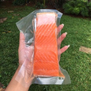 Info Ikan Salmon Katalog.or.id Info Ikan Salmon Katalog.or.id