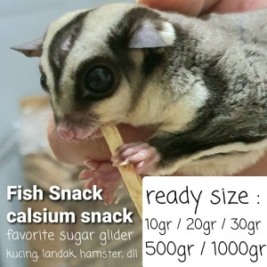 Info Fish Snack Sugar Glider Katalog.or.id Info Fish Snack Sugar Glider Katalog.or.id