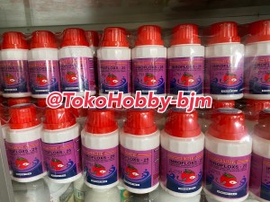 Info Boster Progol 500gram Perekat Pakan Udang Ikan Peternakan Katalog.or.id Info Boster Progol 500gram Perekat Pakan Udang Ikan Peternakan Katalog.or.id