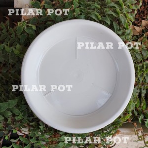 Katalog Ring Bearer Pyramid Tanpa Alas Kayu Terarium Bunga Artificial Katalog.or.id Katalog Ring Bearer Pyramid Tanpa Alas Kayu Terarium Bunga Artificial Katalog.or.id