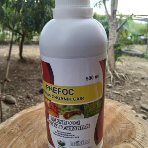 Info Starlon 665 Ec 100ml Katalog.or.id Info Starlon 665 Ec 100ml Katalog.or.id