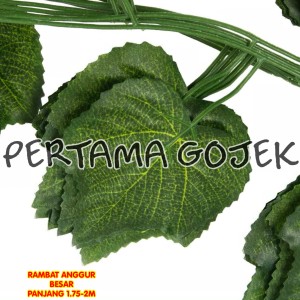 Harga Daun Rambat Plastik Daun Rambat Palsu Daun Rambat Sintetis Aquaria Katalog.or.id Harga Daun Rambat Plastik Daun Rambat Palsu Daun Rambat Sintetis Aquaria Katalog.or.id