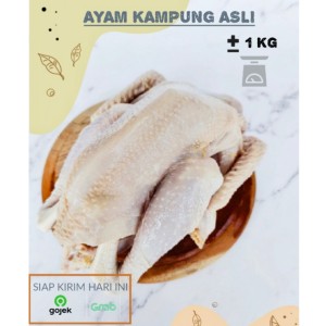 Harga ayam kampung utuh segar sehat bersih khusus bandung berat | HARGALOKA.COM Harga ayam kampung utuh segar sehat bersih khusus bandung berat | HARGALOKA.COM