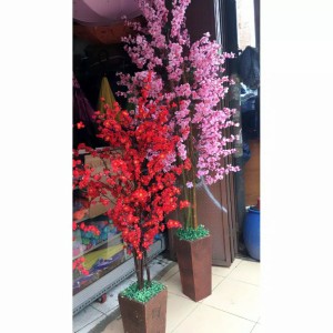 Harga Hiasan Imlek Angpao Imlek Bunga Meihwa Rumpun Pohon Sakura Pink Imlek Katalog.or.id Harga Hiasan Imlek Angpao Imlek Bunga Meihwa Rumpun Pohon Sakura Pink Imlek Katalog.or.id