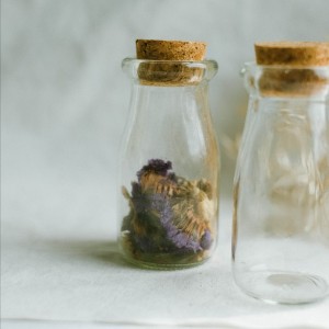 Info Promo Mini Glass Booth Display Dome Cover Flower Vase With Wood Cork Katalog.or.id Info Promo Mini Glass Booth Display Dome Cover Flower Vase With Wood Cork Katalog.or.id