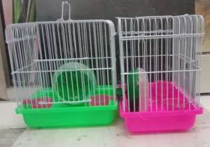 Harga Kandang Gex Jepang Reptil Hamster Sugarglider Ular Kodok Leopard Gecko Katalog.or.id Harga Kandang Gex Jepang Reptil Hamster Sugarglider Ular Kodok Leopard Gecko Katalog.or.id