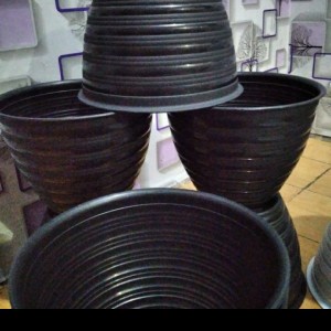 Info Alibambah Vas Bunga Kaca Alb 019 2 30 Cm Katalog.or.id Info Alibambah Vas Bunga Kaca Alb 019 2 30 Cm Katalog.or.id