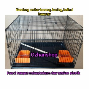 Info Kandang Kucing Hamster Kelinci Kandang Tingkat Katalog.or.id Info Kandang Kucing Hamster Kelinci Kandang Tingkat Katalog.or.id