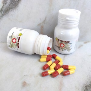 Harga Capsule Capsule Plus Obat Kura Obat Napsu Makan Kura Katalog.or.id Harga Capsule Capsule Plus Obat Kura Obat Napsu Makan Kura Katalog.or.id
