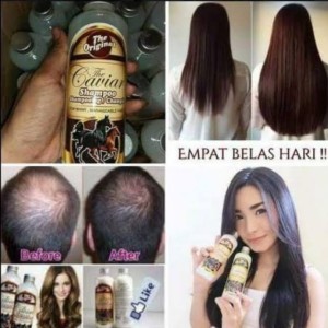 Katalog Caviar Shampo Katalog.or.id Katalog Caviar Shampo Katalog.or.id