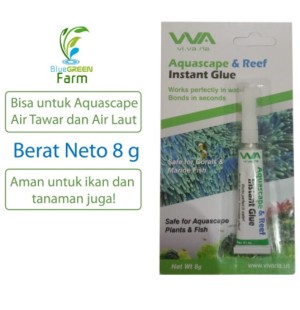 Info Lem Aquascape Coral Ista Ista Instant Glue Katalog.or.id Info Lem Aquascape Coral Ista Ista Instant Glue Katalog.or.id