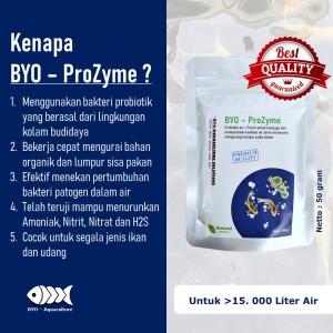 Info Bakteri Probiotik Untuk Kolam Ikan Koi Fishco Pond Botol 40gr Katalog.or.id Info Bakteri Probiotik Untuk Kolam Ikan Koi Fishco Pond Botol 40gr Katalog.or.id