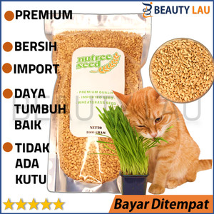 Info Biji Koaci Repack Cemilan Hamster Katalog.or.id Info Biji Koaci Repack Cemilan Hamster Katalog.or.id