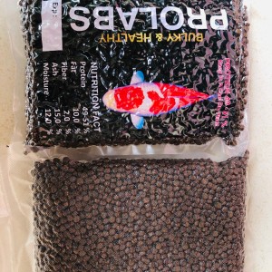 Katalog Hisilk Hi Silk 21 Kenkokanri Pakan Koi 5kg Size M Katalog.or.id Katalog Hisilk Hi Silk 21 Kenkokanri Pakan Koi 5kg Size M Katalog.or.id