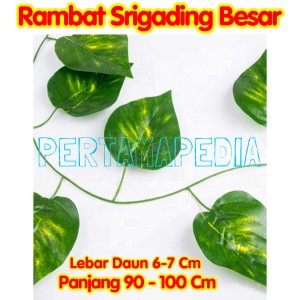 Katalog Daun Rambat Plastik Daun Rambat Palsu Daun Rambat Sintetis Aquaria Katalog.or.id Katalog Daun Rambat Plastik Daun Rambat Palsu Daun Rambat Sintetis Aquaria Katalog.or.id