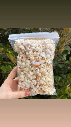 Harga Makanan Cemilan Hamster Snack Huft Kuaci Dan Popcorn Original Mixtures Katalog.or.id Harga Makanan Cemilan Hamster Snack Huft Kuaci Dan Popcorn Original Mixtures Katalog.or.id