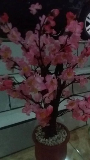Info Bunga Plastik Sakura Katalog.or.id Info Bunga Plastik Sakura Katalog.or.id