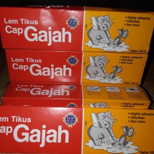Info Lem Tikus Cap Gajah Katalog.or.id Info Lem Tikus Cap Gajah Katalog.or.id
