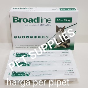 Info Kucing Himalaya Katalog.or.id Info Kucing Himalaya Katalog.or.id