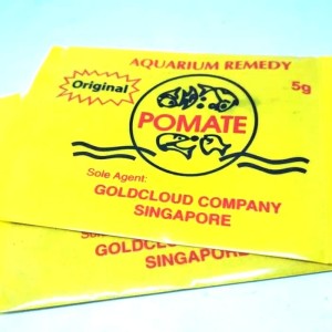 Info Pomate Obat Ikan Koi Maskoki Dan Ikan Hias Katalog.or.id Info Pomate Obat Ikan Koi Maskoki Dan Ikan Hias Katalog.or.id
