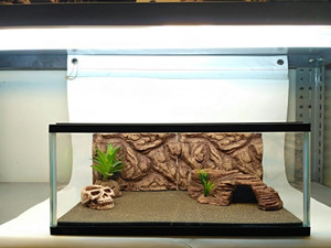 Katalog Sand Mat Karpet Pasir Alas Reptile Kura Torto Ular Gecko Kadal Salva Katalog.or.id Katalog Sand Mat Karpet Pasir Alas Reptile Kura Torto Ular Gecko Kadal Salva Katalog.or.id