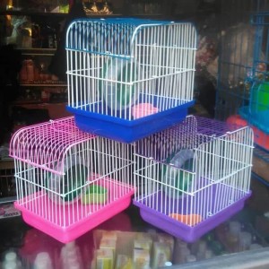 Info Kandang Hamster Mantap Yda303 Katalog.or.id Info Kandang Hamster Mantap Yda303 Katalog.or.id