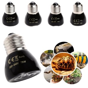 Info Ceramic Heater 50w 75w 100w Katalog.or.id Info Ceramic Heater 50w 75w 100w Katalog.or.id