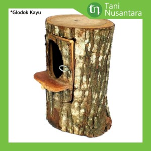 Harga glodok kayu pohon rumah burung sarang burung lovebird | HARGALOKA.COM Harga glodok kayu pohon rumah burung sarang burung lovebird | HARGALOKA.COM