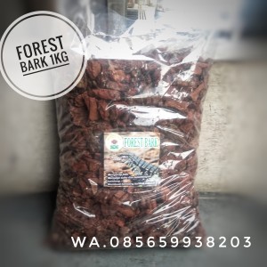 Katalog Forest Bark Alas Kandang Reptile Katalog.or.id Katalog Forest Bark Alas Kandang Reptile Katalog.or.id