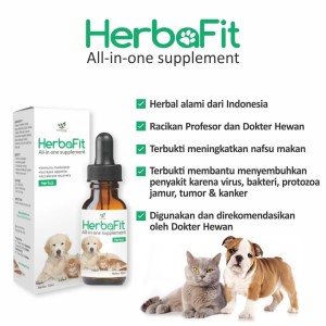 Harga Vitamin Burung Utk Tambah Energi Dextro Katalog.or.id Harga Vitamin Burung Utk Tambah Energi Dextro Katalog.or.id
