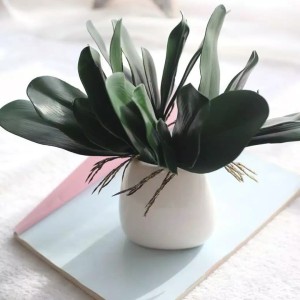 Info Daun Rambat Plastik Daun Rambat Palsu Daun Rambat Sintetis Aquaria Katalog.or.id Info Daun Rambat Plastik Daun Rambat Palsu Daun Rambat Sintetis Aquaria Katalog.or.id