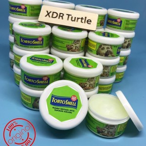Katalog Torto Shell Pelembab Tempurung Kura Sulcata Katalog.or.id Katalog Torto Shell Pelembab Tempurung Kura Sulcata Katalog.or.id