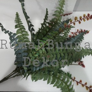 Katalog Daun Pakis Hijau Katalog.or.id Katalog Daun Pakis Hijau Katalog.or.id