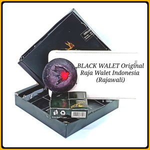 Harga Black Walet Katalog.or.id Harga Black Walet Katalog.or.id