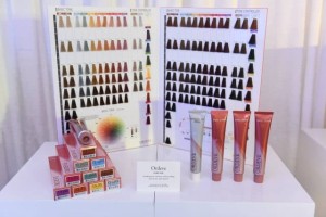 Harga Cat Rambut Milbon Ordeve Addicthy Katalog.or.id Harga Cat Rambut Milbon Ordeve Addicthy Katalog.or.id