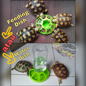 Katalog Peralatan Terarium Aquarium Dan Reptile Water Dish Murah Wd013 Katalog.or.id Katalog Peralatan Terarium Aquarium Dan Reptile Water Dish Murah Wd013 Katalog.or.id