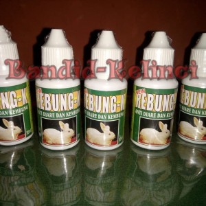 Harga Obat Mencret Kembung Diare Kelinci Rebung K Katalog.or.id Harga Obat Mencret Kembung Diare Kelinci Rebung K Katalog.or.id