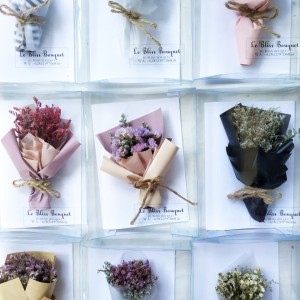 Katalog Bunny Tails Flower White Lagurus Dried Flower Import Katalog.or.id Katalog Bunny Tails Flower White Lagurus Dried Flower Import Katalog.or.id